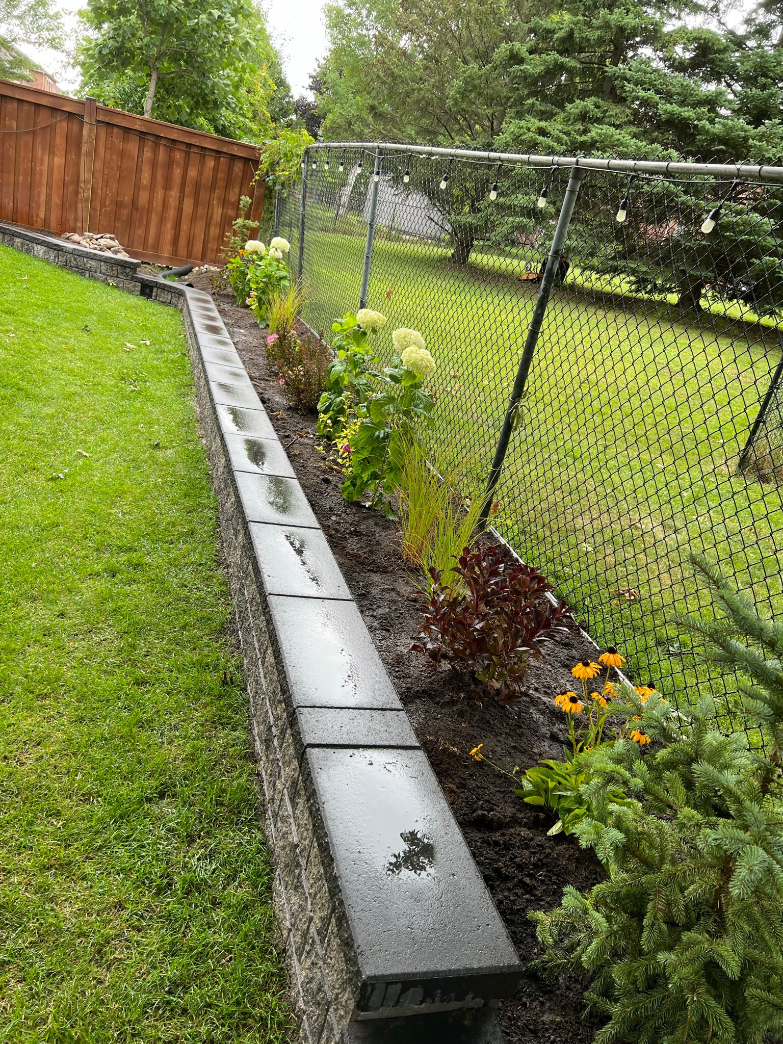Front yard project 2